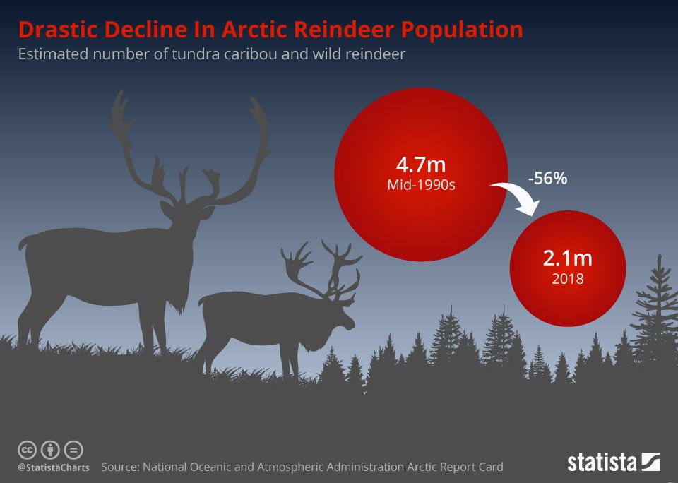 کاهش شدید‌ گونه وحشی گوزن‌ها در قطب شمال