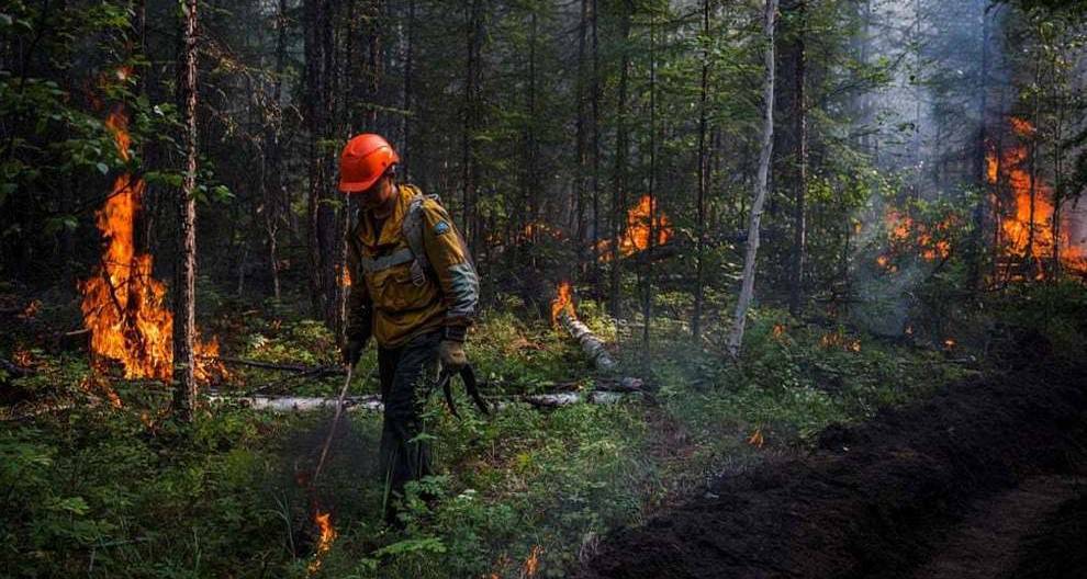 تلاش برای مهار آتش سوزی جنگل‌های سیبری