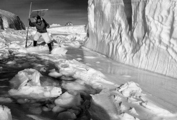 گریلند و شکار در دنیایی از برف و یخ + تصویر